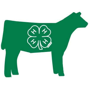 Beef Cow Decal