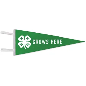 Felt 5" x 12" Pennant