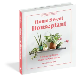 Home Sweet Houseplant