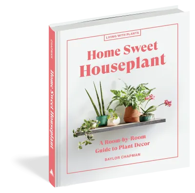 Home Sweet Houseplant