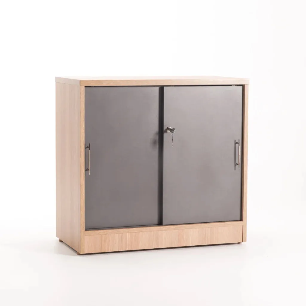 LOGO 2 DOOR CABINET