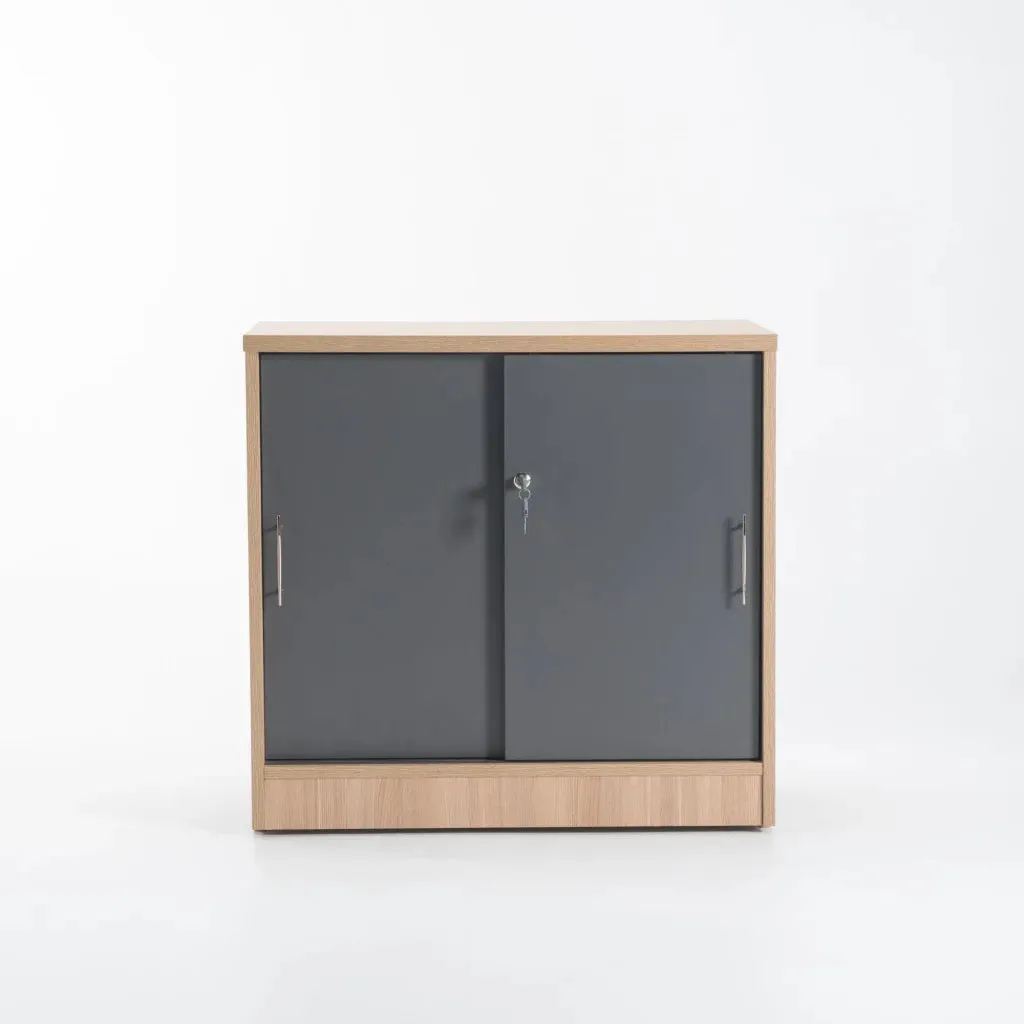 LOGO 2 DOOR CABINET